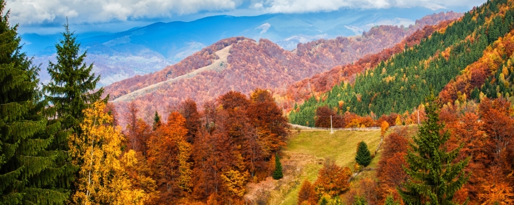 Fall Foliage Travel Tips