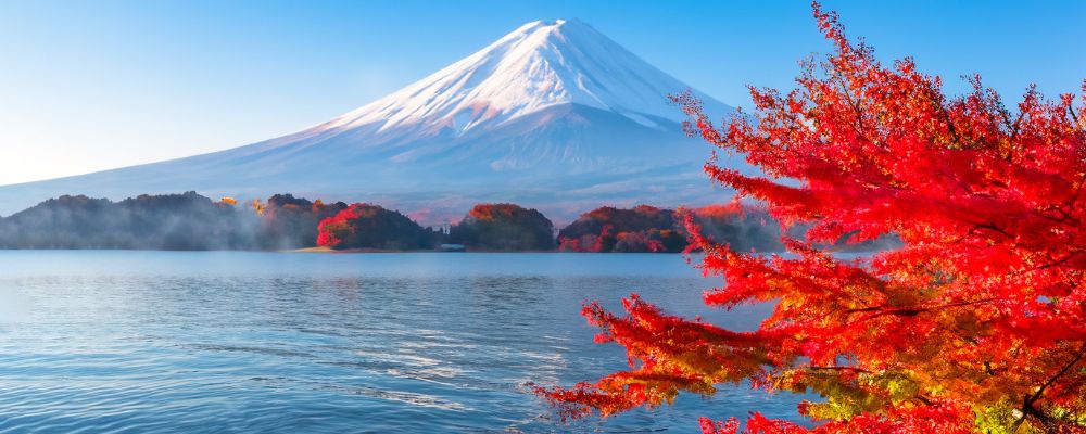 A Beautiful View of Mount Fuji