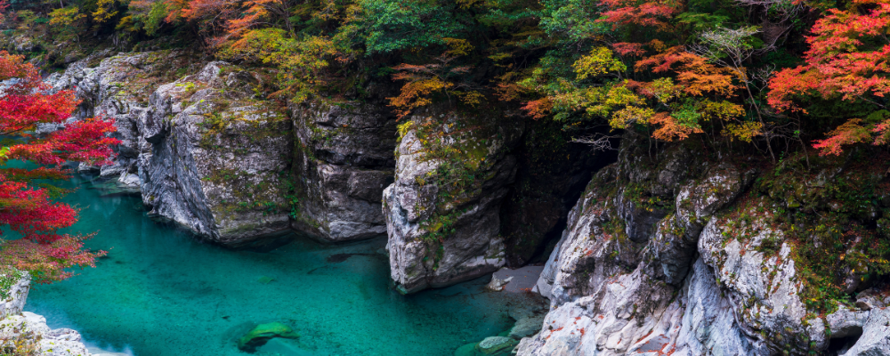 Hidden Japan