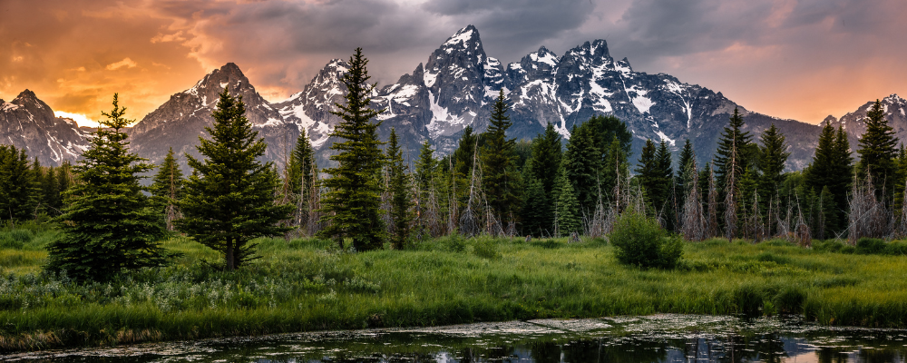 Best National Parks to Visit in Summer