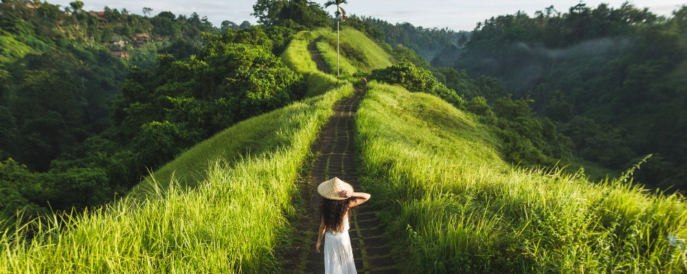 Things to do in Bali