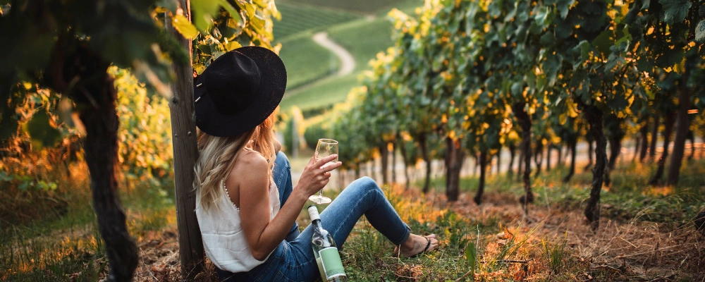 Best Vineyards in the World: A Detailed Insight